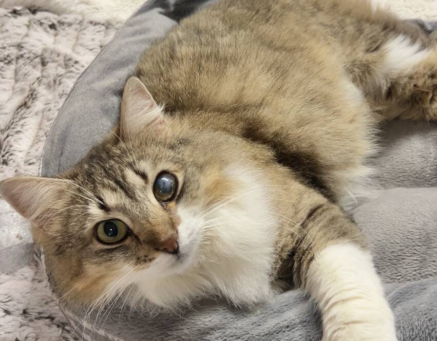 OLIVIA
